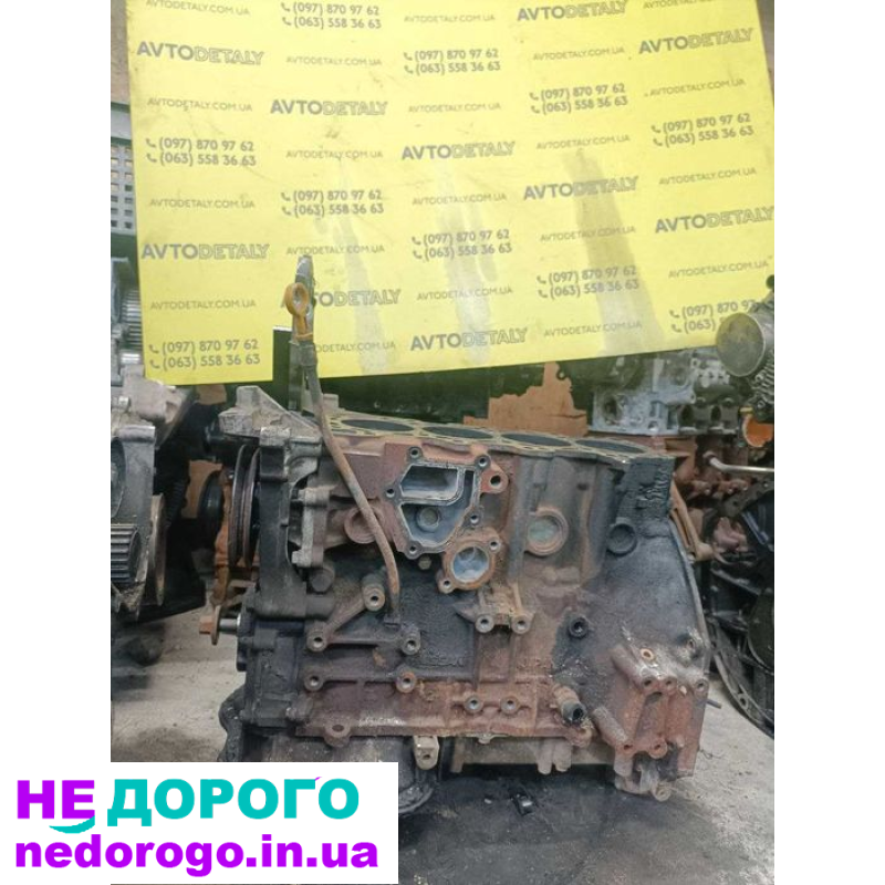Двигун мотор блок пеньок NISSAN X-TRAIL 2.2 YD22, 2001, 2.2 л, дизель.