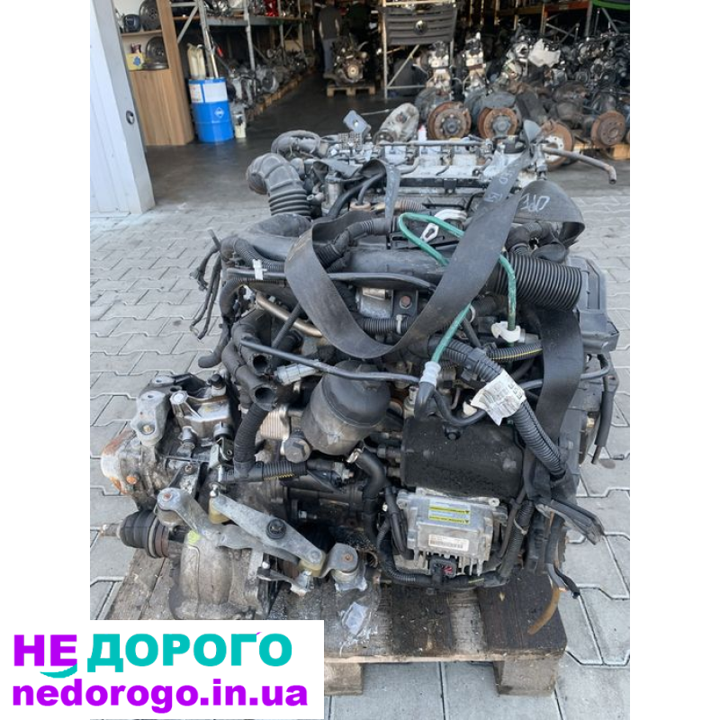 Двигун Opel 1.7cdti D17DTL, 2004 рік, дизель, 1.7 л.
