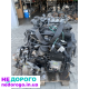 Двигун Opel 1.7cdti D17DTL, 2004 рік, дизель, 1.7 л.