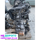 Двигун Opel 1.7cdti D17DTL, 2004 рік, дизель, 1.7 л.