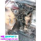 Двигун Opel Omega A 2.4 бензин, 1994 рік, об'єм 2.4 л, українська версія.