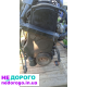 Двигун Opel Omega 2.0, 1998, 2.0 л бензин; Opel Frontera 2.2, 2001, 2.2 л дизель; Opel Astra 1.6, 2005, 1.6 л бензин; Opel Vectra A 1.8, 1996, 1.8 л бензин; Opel Vectra B 2.0, 1999, 2.0 л дизель.