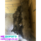 Двигун Peugeot Expert 1.9 D, 2005 рік, об'єм 1.9 л, дизель.