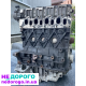 Двигун Renault F9K, 1.5 л, дизель, 2012 р. Відмінна робота, економічний, надійний.