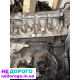 Двигун Renault Kangoo,Clio,Megane 1.9 DTI F8T 1997-2003р. 1.9л дизель.