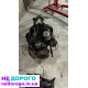 Двигун Renault K9K 1.5 dci для Kangoo, Clio, Megane, Scenic. 2001-2021 рр., дизель, 1.5 л.