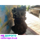 Двигун Renault Scenic IV 1,7dci R9NA401, 2019 рік, 1,7 л, дизель.