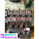 Двигун Renault F2N 1.7, Volvo 11.19.21.5, українською.