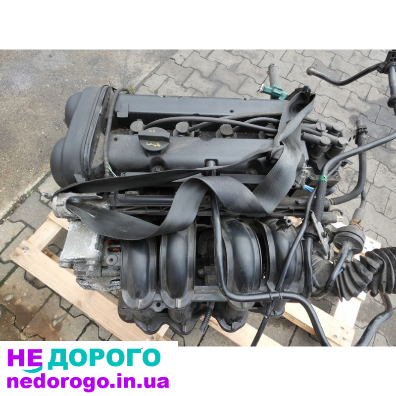 Двигун SNJB 1.25 16V для Ford Fiesta MK7, випущений у 2010 році, об'єм 1.25 літра, бензиновий.