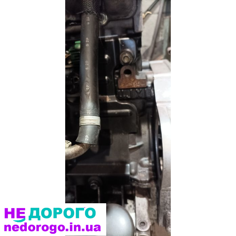 Двигун Isuzu Trooper, Opel Monterey, 1998, 3.1 л дизель.