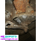Двигун ТНВД Toyota 1C, 1995 р., 2.0 л, дизель.