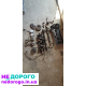Двигун Toyota 1ZZ-FE, 1.8 л, бензин, 2000 рік.