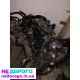 Двигун Toyota Avensis 2.0 TD D4D T22 1998-2003 р. 2.0 л дизель.