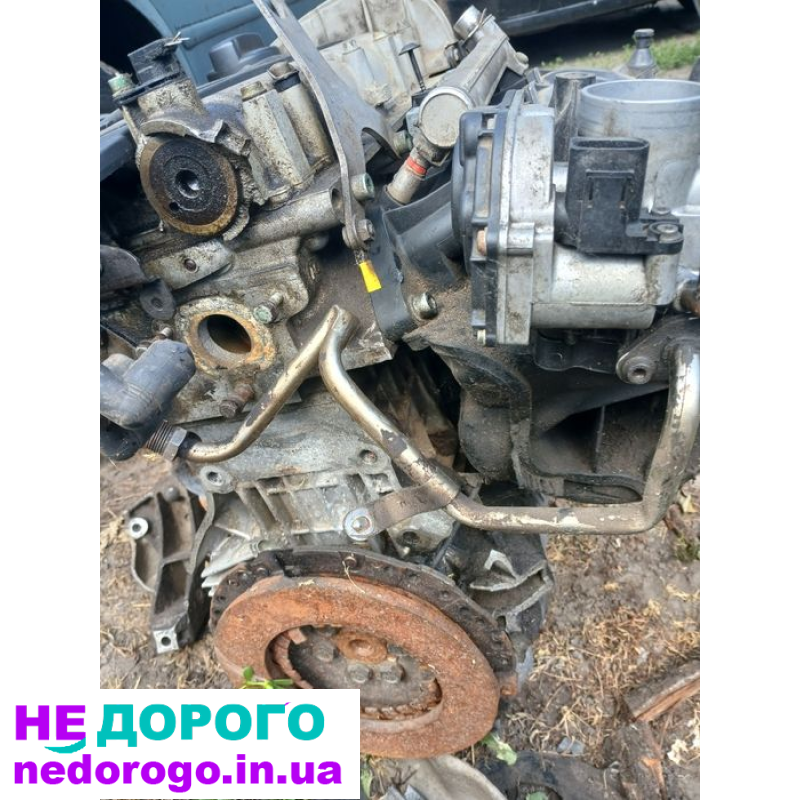 Двигун Volkswagen Golf 4 1.4 16 клапанний, 2002 рік, бензин, об'єм 1.4 л.