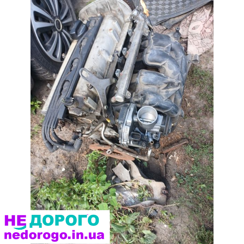Двигун Volkswagen Golf 4 1.4 16 клапанний, 2002 рік, бензин, об'єм 1.4 л.