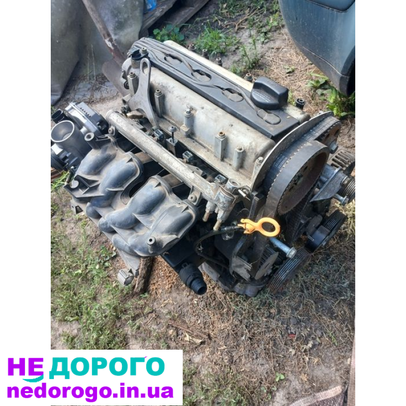 Двигун Volkswagen Golf 4 1.4 16 клапанний, 2002 рік, бензин, об'єм 1.4 л.
