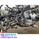 Двигун Volkswagen Phaeton 3.2 FSI V6 2003-2005 р AYT, 3.2 л, бензин.
