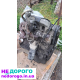 Двигун Volkswagen Transporter 4 ABL 1990 2.4 л дизель.