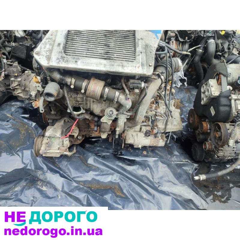 Двигун YD22 Nissan X-trail 2.2 crdi, 2001 рік, дизель, 2.2 л.