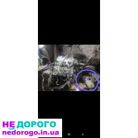 Двигун Hyundai Getz Acent 1.6, 2005, 1.6 л, бензин.