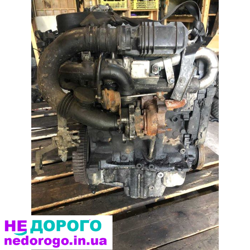 Двигун Renault Kangoo 1.5dci, 2008 рік, дизель, об'єм 1.5 л.