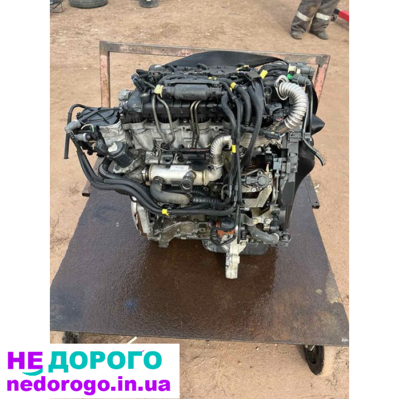 Двигун Peugeot 1.6 HDI TDCI, 2008, 1.6 л, дизель. Citroen, Ford, Mazda.