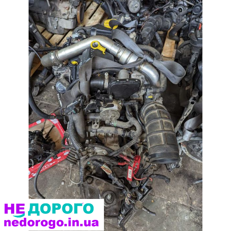 Двигун Renault Kangoo 1.5dci, 2005, 1.5 л, дизель. Renault Megan 1.5dci, 2007, 1.5 л, дизель. Renault Scenic 1.5dci, 2009, 1.5 л, дизель. Дніпро.