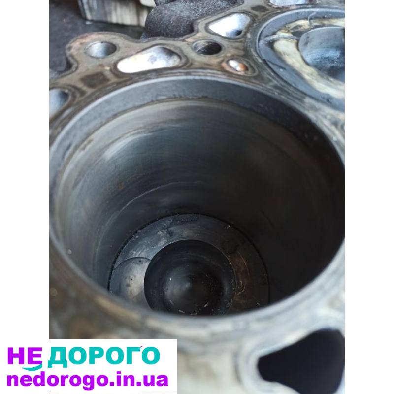 Блок двигуна гбц YD22 для Nissan X-Trail T30 2.2 dci, 2001 рік, дизель, об'єм 2.2 л.