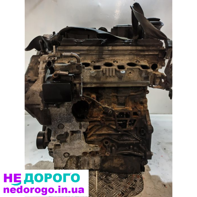 Двигун 1.6 tdi CAY 360110 Volkswagen Audi Skoda 2008 дизель Україна.