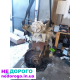 Двигун Renault F9Q 1,9dci, 2005 рік, дизель, 1,9 л.