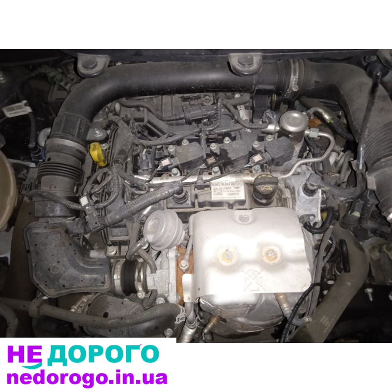 Форд экоспорт 17-22г 1 л экобуст. Мотор двигатель.