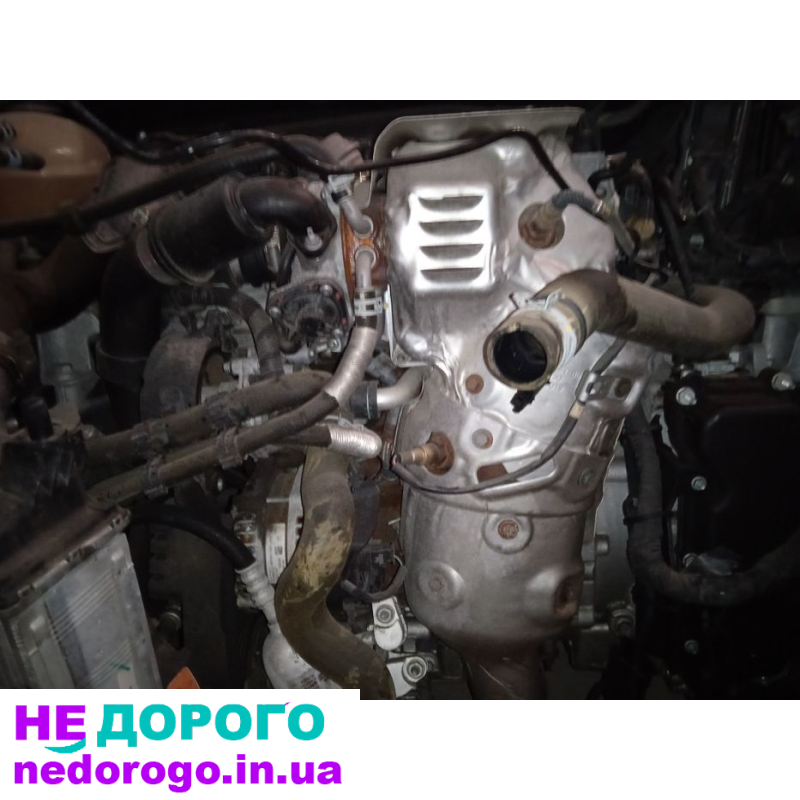 Форд экоспорт 17-22г 1 л экобуст. Мотор двигатель.
