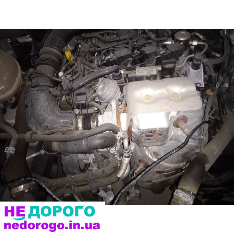 Форд экоспорт 17-22г 1 л экобуст. Мотор двигатель.
