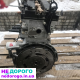 Двигун Ford Fiesta mk7 USA 1,6, 2011 рік, бензин, об'єм 1,6 л.