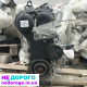 Двигун Ford Fiesta mk7 USA 1,6, 2011 рік, бензин, об'єм 1,6 л.