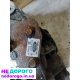 Двигун Ford Focus 2 1.6 TDCI 2008 1.6 л дизель, КПП - механічна.