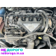 форд куга 1 ford kuga I mk1 двигун кпп роздатка міст 2.0 tdci мех.