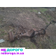 МКПП Ford Focus, 2008, 1.6 л, бензин. Роздатка Nissan X-Trail, 2015, 2.0 л, дизель. Міст передній Ford Mondeo, 2012, 2.0 л, бензин.