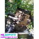 Двигун Ford Sierra 2.0, ZL, 1987, 2.0 л, бензин. Готовий до відновлення або продаж деталей.