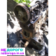 Двигун Ford Sierra 2.0, ZL, 1987, 2.0 л, бензин. Готовий до відновлення або продаж деталей.