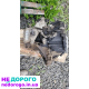 Коробка 1.6 HDi Peugeot 308 5008  6-ступка