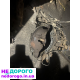 Коробка 1.6 об Тойота королла е90 Toyota corolla e90 год 89