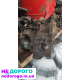 Коробка автомат NISSAN CVT RE0F10A, Sentra, 2015, 1.8 л, бензин.