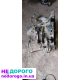 Коробка передач Citroen Berlingo, B71/1, 2019, 1.6 л дизель.