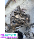 Коробка Honda Accord 7 диз 6ст мкпп 2003-08, 2.2л, дизель.