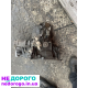 Коробка передач Hyundai Accent 2004, 1.6 л, бензин.