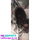 коробка КПП Шевроле Авео 1.5
