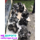 Коробка мех дсг  golf 5, passat b6, superb2, skoda a5, skoda tour