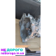 Коробка передач Mitsubishi Outlander CVT JF011E 2016 2.4 л бензин