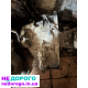 Коробка мкпп Opel Vectra B 2.0 дизель 1995 2.0 л дизель.